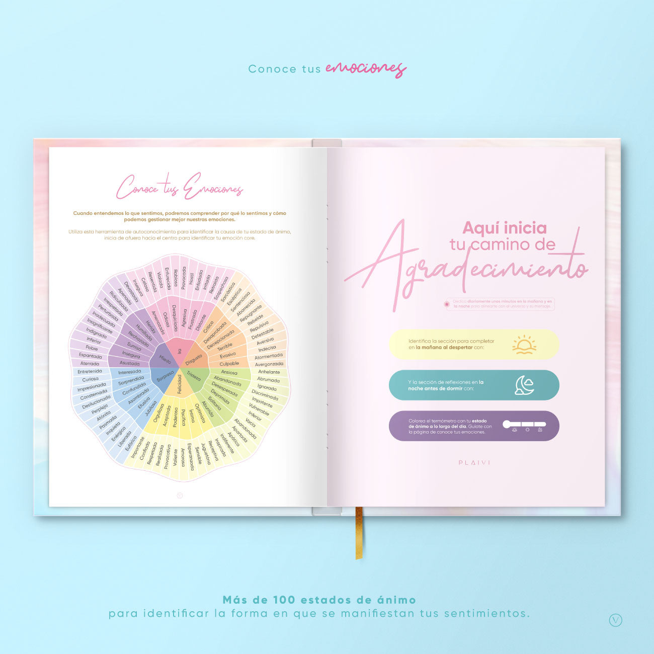Aprende a identificar tus emociones más profundas con el Diario de gratitud PLAIVI