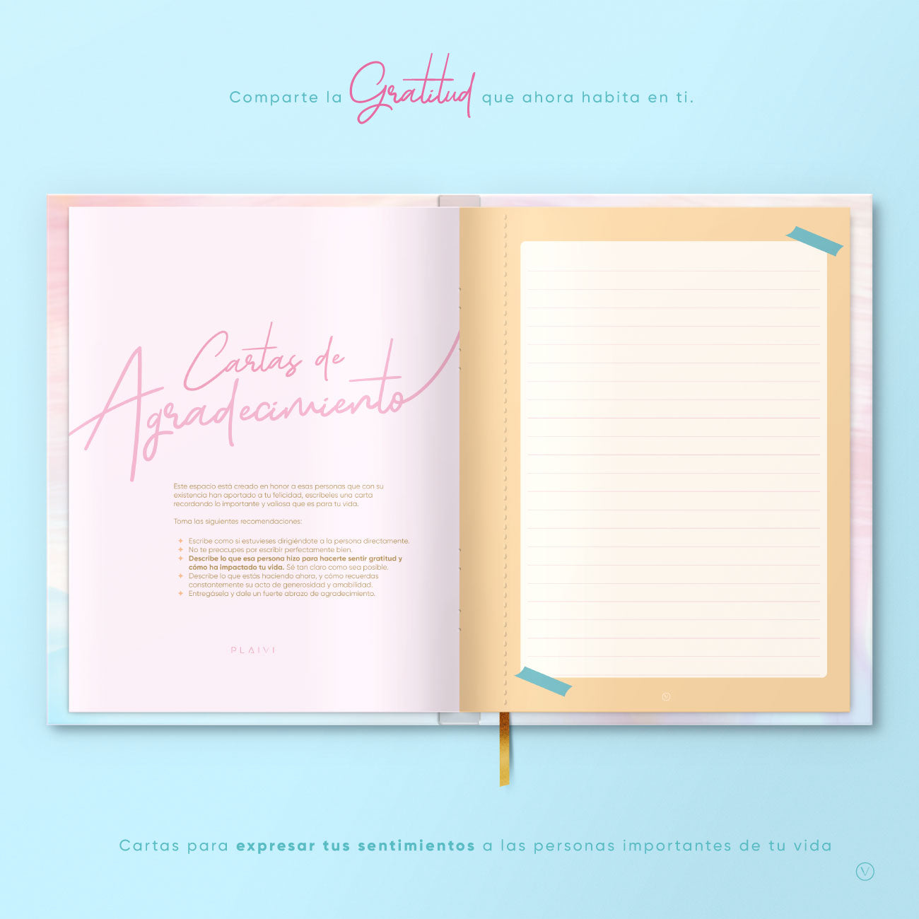 Cartas de agradecimiento del Diario de gratitud PLAIVI